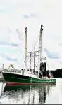 Trawler விற்பனைக்கு