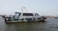 பைலட் படகு விற்பனைக்கு