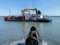 டிரெட்ஜர் விற்பனைக்கு