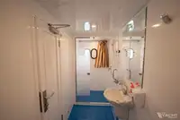 டைவ் ஆதரவு விற்பனைக்கு
