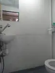 இழுக்கும் படகு விற்பனைக்கு