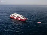 டைவ் ஆதரவு விற்பனைக்கு