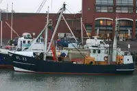 Trawler விற்பனைக்கு