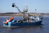 Purse seiner விற்பனைக்கு