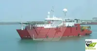 டைவ் ஆதரவு விற்பனைக்கு