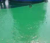 ப bulk கேரியர் விற்பனைக்கு