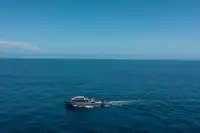 ஆய்வுக் கப்பல் விற்பனைக்கு