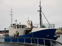 Trawler விற்பனைக்கு