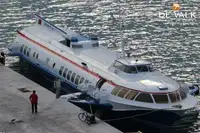 ஹைட்ரோஃபாயில் விற்பனைக்கு
