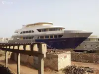 டைவ் ஆதரவு விற்பனைக்கு