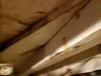 படகு கப்பல் விற்பனைக்கு