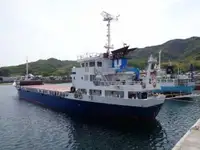மொத்த கேரியர் விற்பனைக்கு