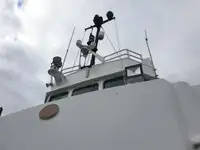 வேலை செய்யும் படகுகள் விற்பனைக்கு