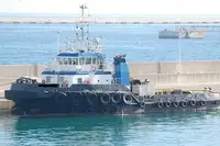 இழுவை படகு விற்பனைக்கு