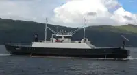 ரோ-ரோ கப்பல் விற்பனைக்கு