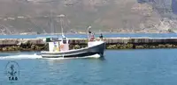 டிராலர் விற்பனைக்கு