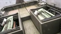 இழுக்கும் படகு விற்பனைக்கு