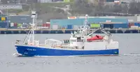 Purse seiner விற்பனைக்கு