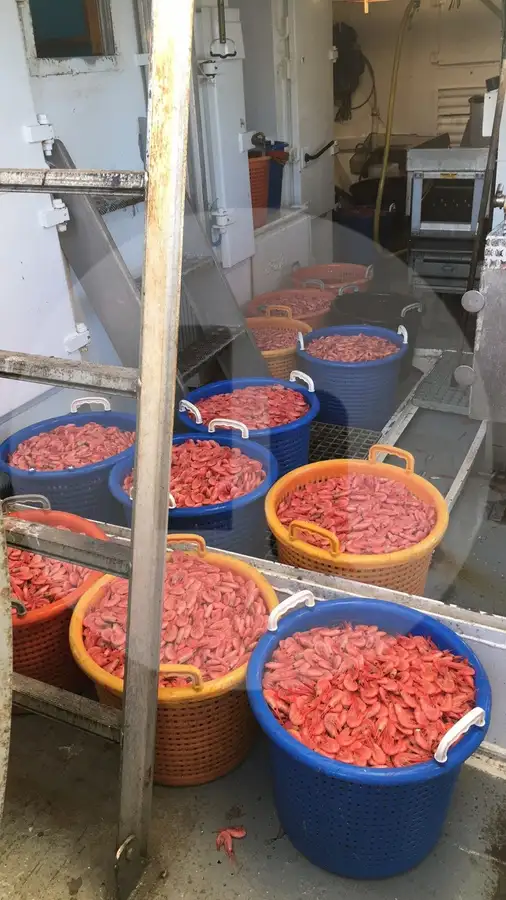பீம் டிராலர் விற்பனைக்கு