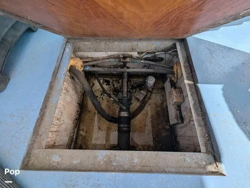 குரூஸ்ஃபெர்ரி விற்பனைக்கு