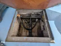 குரூஸ்ஃபெர்ரி விற்பனைக்கு