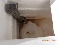 பர்ஸ் சீனர் விற்பனைக்கு