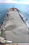 கண்டெய்னர் கப்பல் விற்பனைக்கு