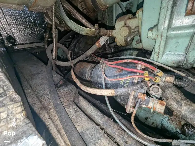 குரூஸ்ஃபெர்ரி விற்பனைக்கு