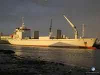 ரீஃபர் கப்பல் விற்பனைக்கு