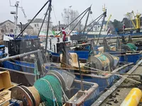 உயிருள்ள மீன் கொண்டு செல்லும் கப்பல் விற்பனைக்கு