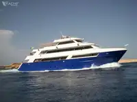 டைவ் ஆதரவு விற்பனைக்கு
