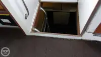டைவ் ஆதரவு விற்பனைக்கு
