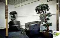 ரோ-ரோ கப்பல் விற்பனைக்கு