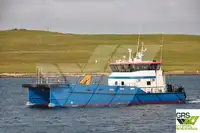 Wind farm service vessel விற்பனைக்கு
