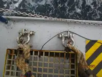குளிர்சாதனக் கப்பல் விற்பனைக்கு