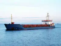 மொத்த கேரியர் விற்பனைக்கு