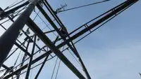 டிராலர் விற்பனைக்கு