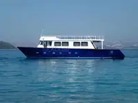 டைவ் ஆதரவு விற்பனைக்கு