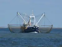 Trawler விற்பனைக்கு