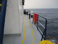 குளிர்சாதனக் கப்பல் விற்பனைக்கு