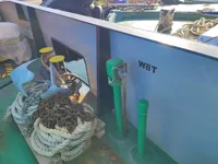கண்டெய்னர் கப்பல் விற்பனைக்கு
