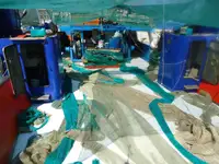 Trawler விற்பனைக்கு