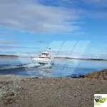 ரோ-ரோ கப்பல் விற்பனைக்கு