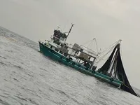 பர்ஸ் சீனர் விற்பனைக்கு