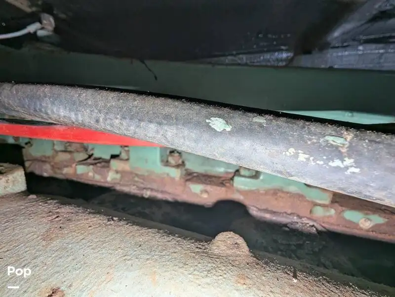 குரூஸ்ஃபெர்ரி விற்பனைக்கு