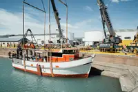 Trawler விற்பனைக்கு