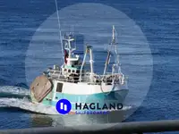 Beam trawler விற்பனைக்கு
