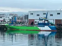 வேலை செய்யும் படகுகள் விற்பனைக்கு