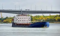 மொத்த கேரியர் விற்பனைக்கு