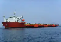 ப bulk கேரியர் விற்பனைக்கு
